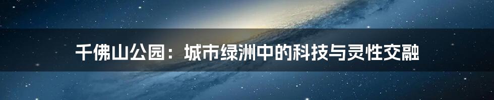 千佛山公园：城市绿洲中的科技与灵性交融