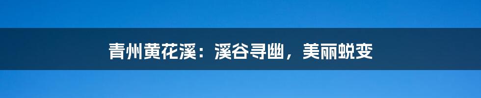 青州黄花溪：溪谷寻幽，美丽蜕变