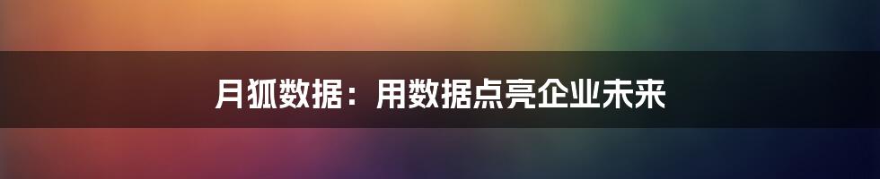 月狐数据：用数据点亮企业未来