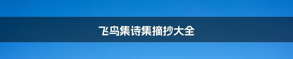 飞鸟集诗集摘抄大全