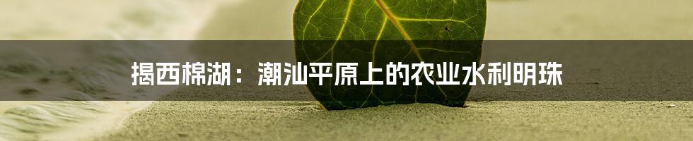 揭西棉湖：潮汕平原上的农业水利明珠