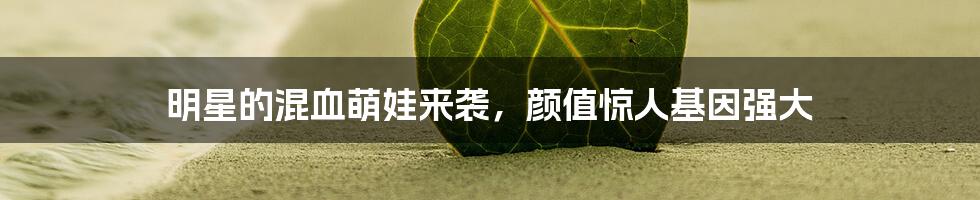 明星的混血萌娃来袭，颜值惊人基因强大