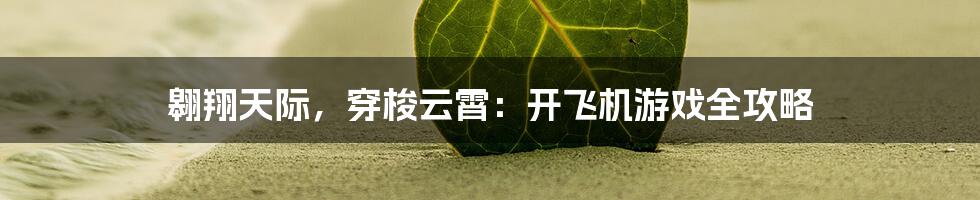 翱翔天际，穿梭云霄：开飞机游戏全攻略