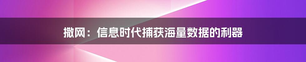 撒网：信息时代捕获海量数据的利器