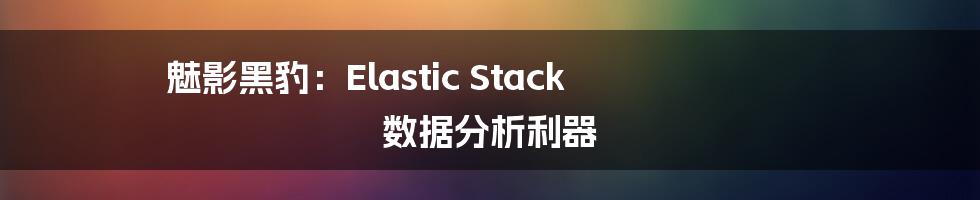 魅影黑豹：Elastic Stack 数据分析利器