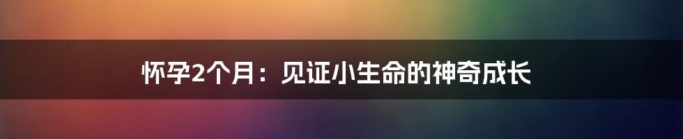 怀孕2个月：见证小生命的神奇成长