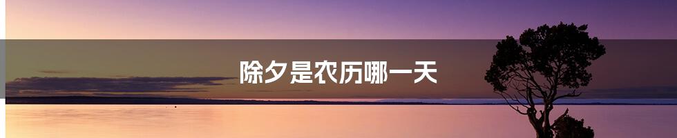 除夕是农历哪一天