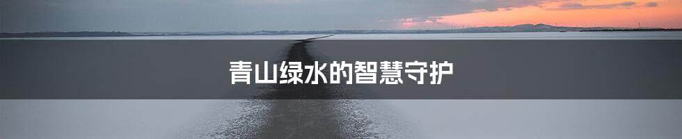 青山绿水的智慧守护