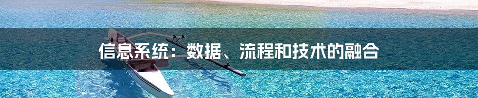 信息系统：数据、流程和技术的融合