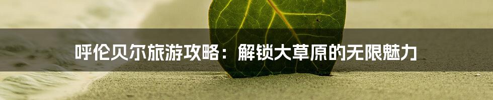 呼伦贝尔旅游攻略：解锁大草原的无限魅力