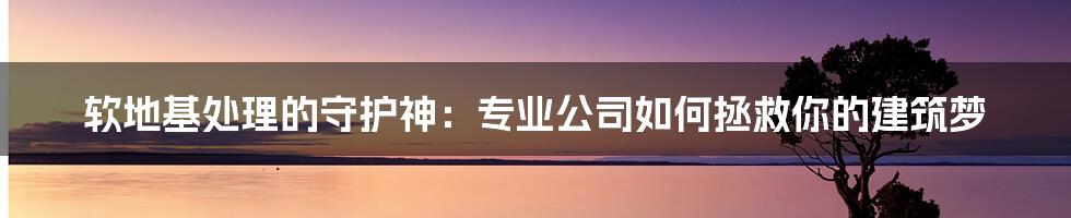 软地基处理的守护神：专业公司如何拯救你的建筑梦