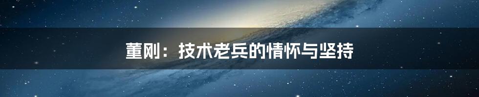 董刚：技术老兵的情怀与坚持