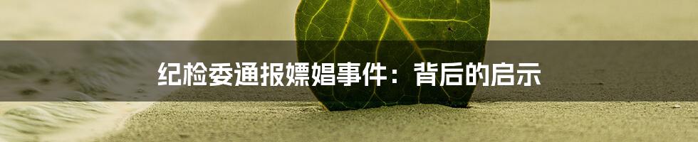 纪检委通报嫖娼事件：背后的启示