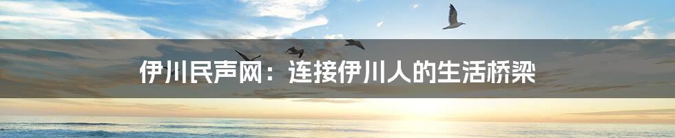 伊川民声网：连接伊川人的生活桥梁