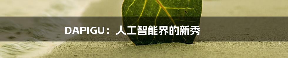 DAPIGU：人工智能界的新秀