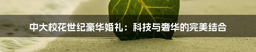 中大校花世纪豪华婚礼：科技与奢华的完美结合