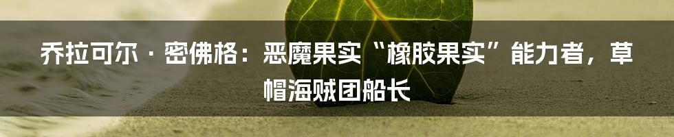 乔拉可尔·密佛格：恶魔果实“橡胶果实”能力者，草帽海贼团船长