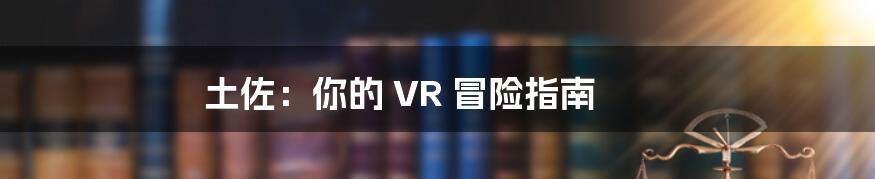 土佐：你的 VR 冒险指南