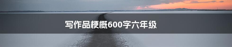 写作品梗概600字六年级