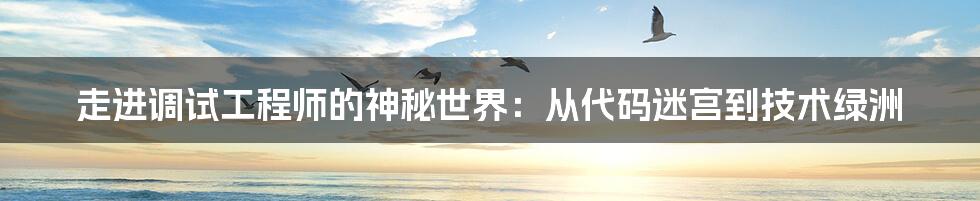 走进调试工程师的神秘世界：从代码迷宫到技术绿洲