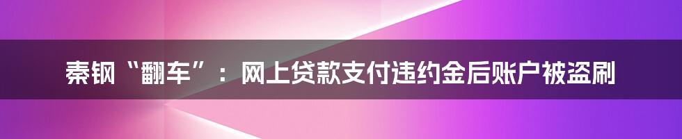 秦钢“翻车”：网上贷款支付违约金后账户被盗刷