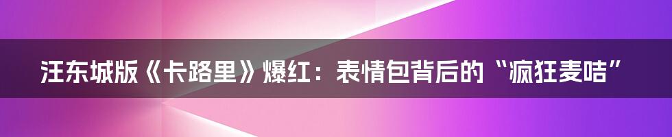 汪东城版《卡路里》爆红：表情包背后的“疯狂麦咭”