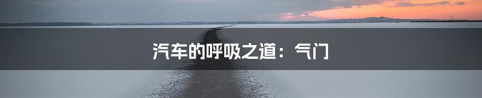 汽车的呼吸之道：气门