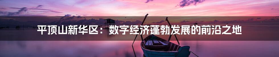 平顶山新华区：数字经济蓬勃发展的前沿之地