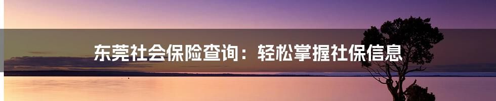 东莞社会保险查询：轻松掌握社保信息