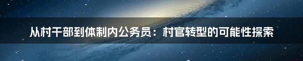 从村干部到体制内公务员：村官转型的可能性探索