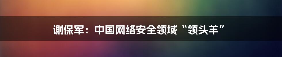 谢保军：中国网络安全领域“领头羊”