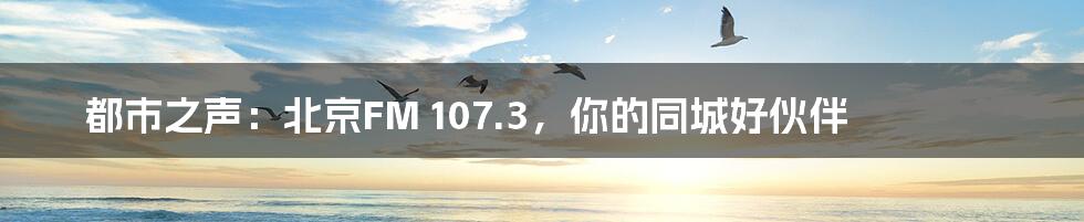 都市之声：北京FM 107.3，你的同城好伙伴