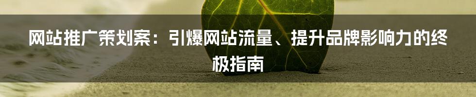 网站推广策划案：引爆网站流量、提升品牌影响力的终极指南