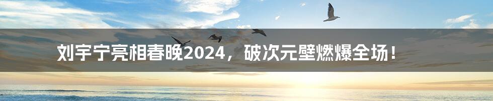 刘宇宁亮相春晚2024，破次元壁燃爆全场！