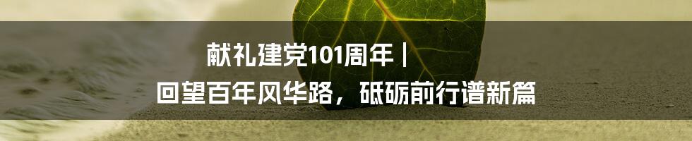 献礼建党101周年 | 回望百年风华路，砥砺前行谱新篇