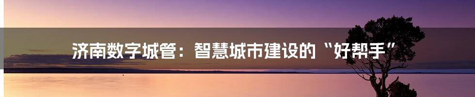 济南数字城管：智慧城市建设的“好帮手”