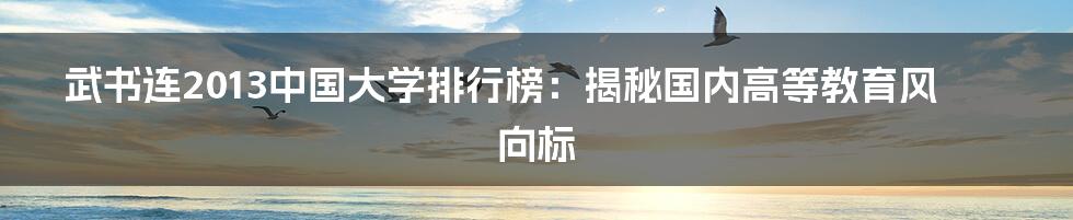 武书连2013中国大学排行榜：揭秘国内高等教育风向标