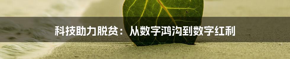 科技助力脱贫：从数字鸿沟到数字红利