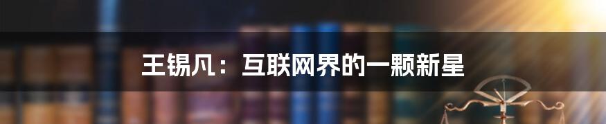 王锡凡：互联网界的一颗新星