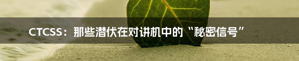 CTCSS：那些潜伏在对讲机中的“秘密信号”