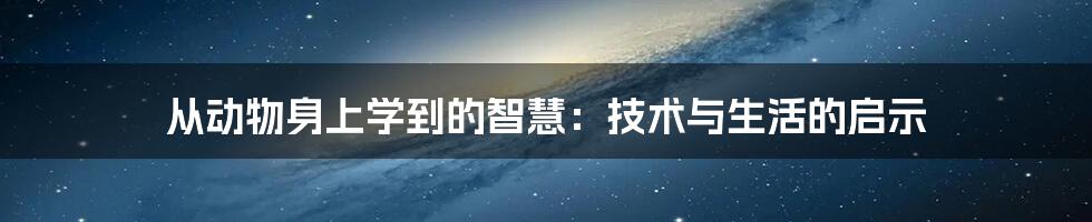 从动物身上学到的智慧：技术与生活的启示