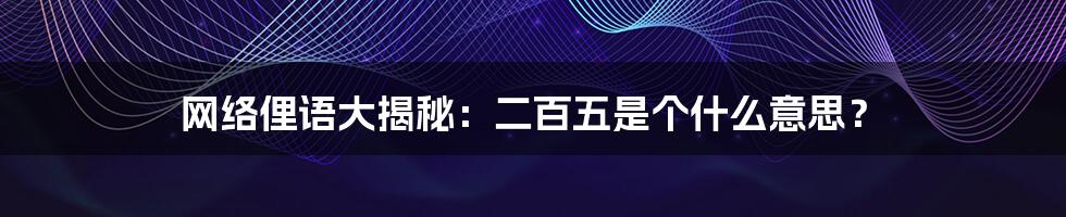 网络俚语大揭秘：二百五是个什么意思？