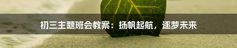 初三主题班会教案：扬帆起航，逐梦未来