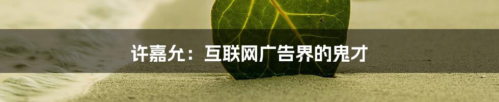 许嘉允：互联网广告界的鬼才