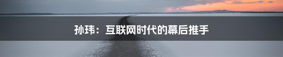 孙玮：互联网时代的幕后推手