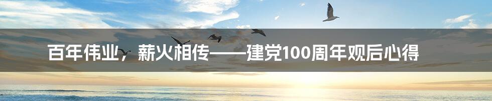 百年伟业，薪火相传——建党100周年观后心得