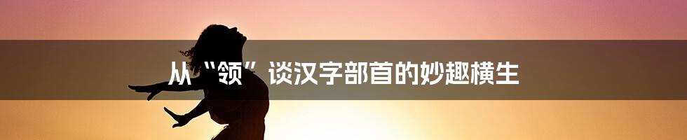 从“领”谈汉字部首的妙趣横生