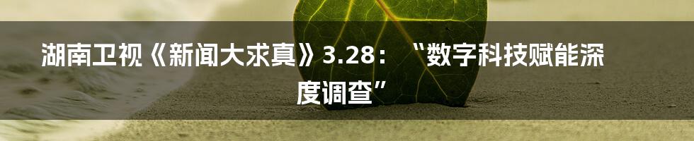 湖南卫视《新闻大求真》3.28：“数字科技赋能深度调查”