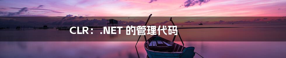 CLR：.NET 的管理代码