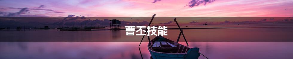 曹丕技能